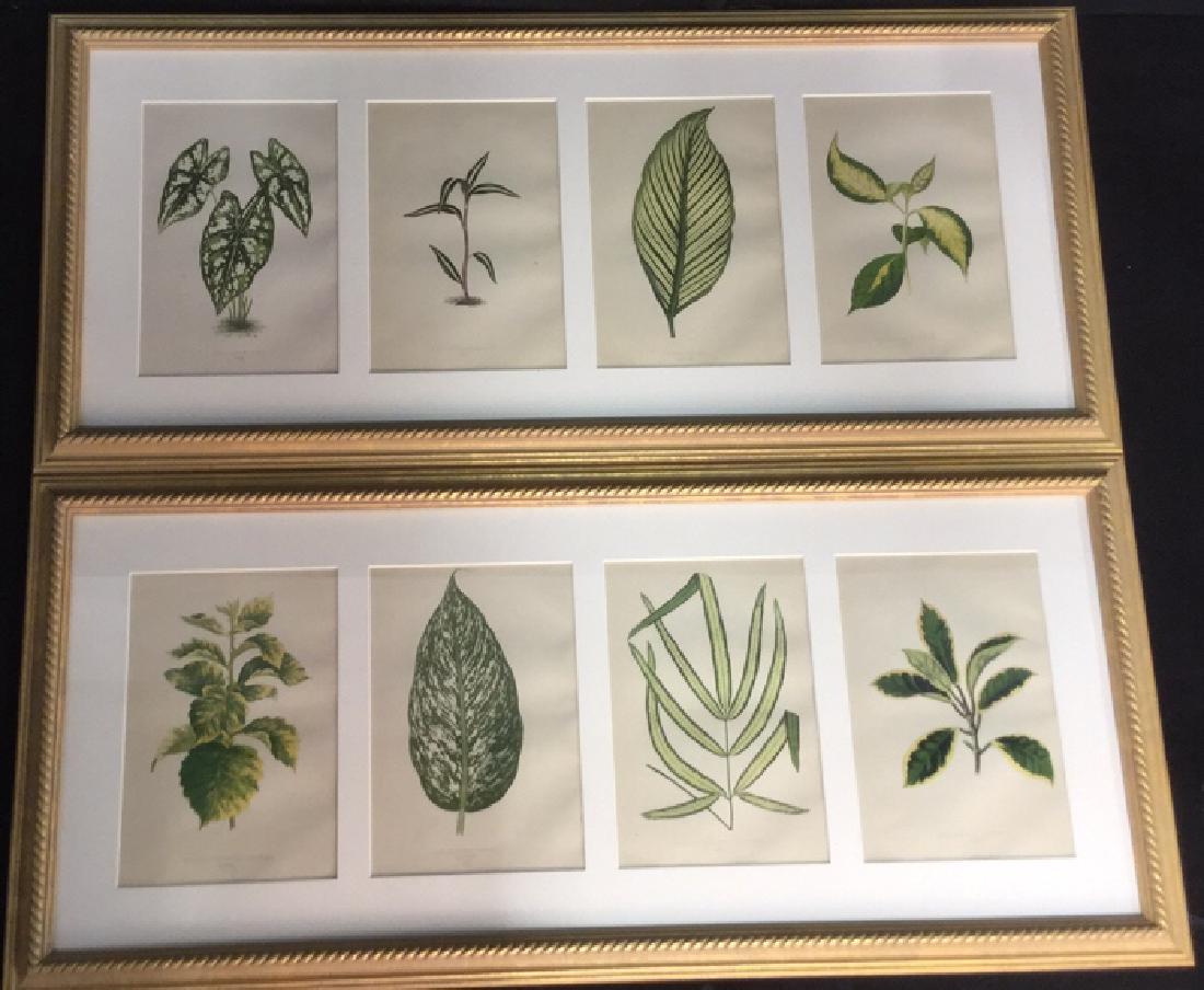Pair Of Framed And Matted Leaf Prints (1 of 11)