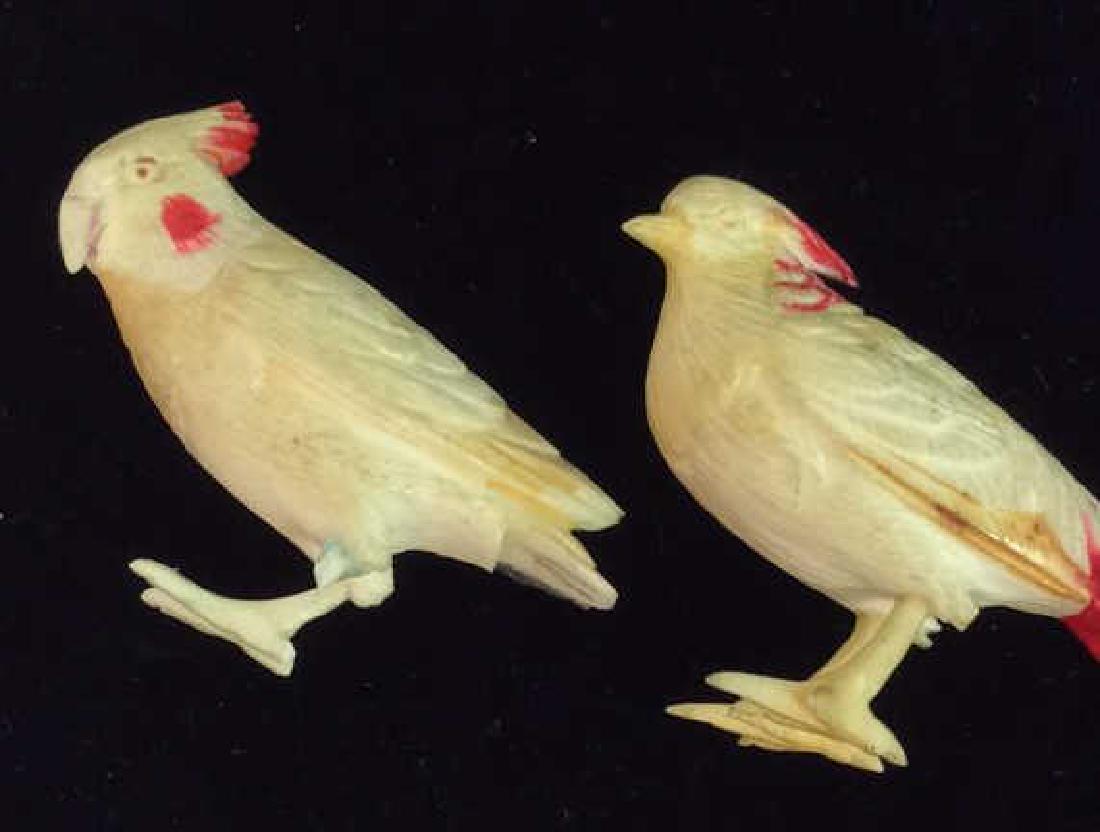 Pair Carved Bone Birds: Pair Carved Bone Birds. Vintage possibly antique bird figurines. Possibly carved bone. possibly faux bone material with red toned painted details. Measures approx 1 1/2 in tall by 3 in long by 1 in wi