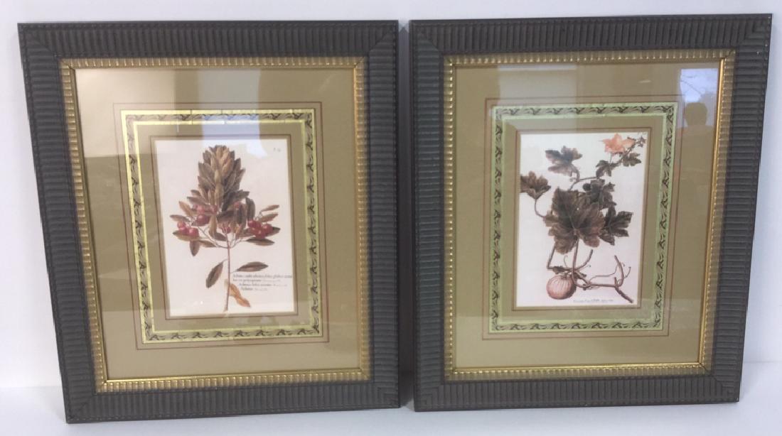 Pair Of Intricately Framed Botanical Prints (1 of 8)