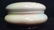 Porcelain LIMOGES FRANCE Trinket Box - 7