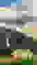 item-60866675=4