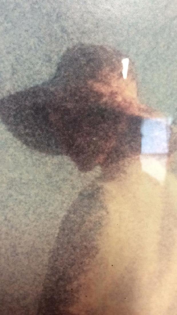 Framed Art Print Woman in Grass (1 of 6)