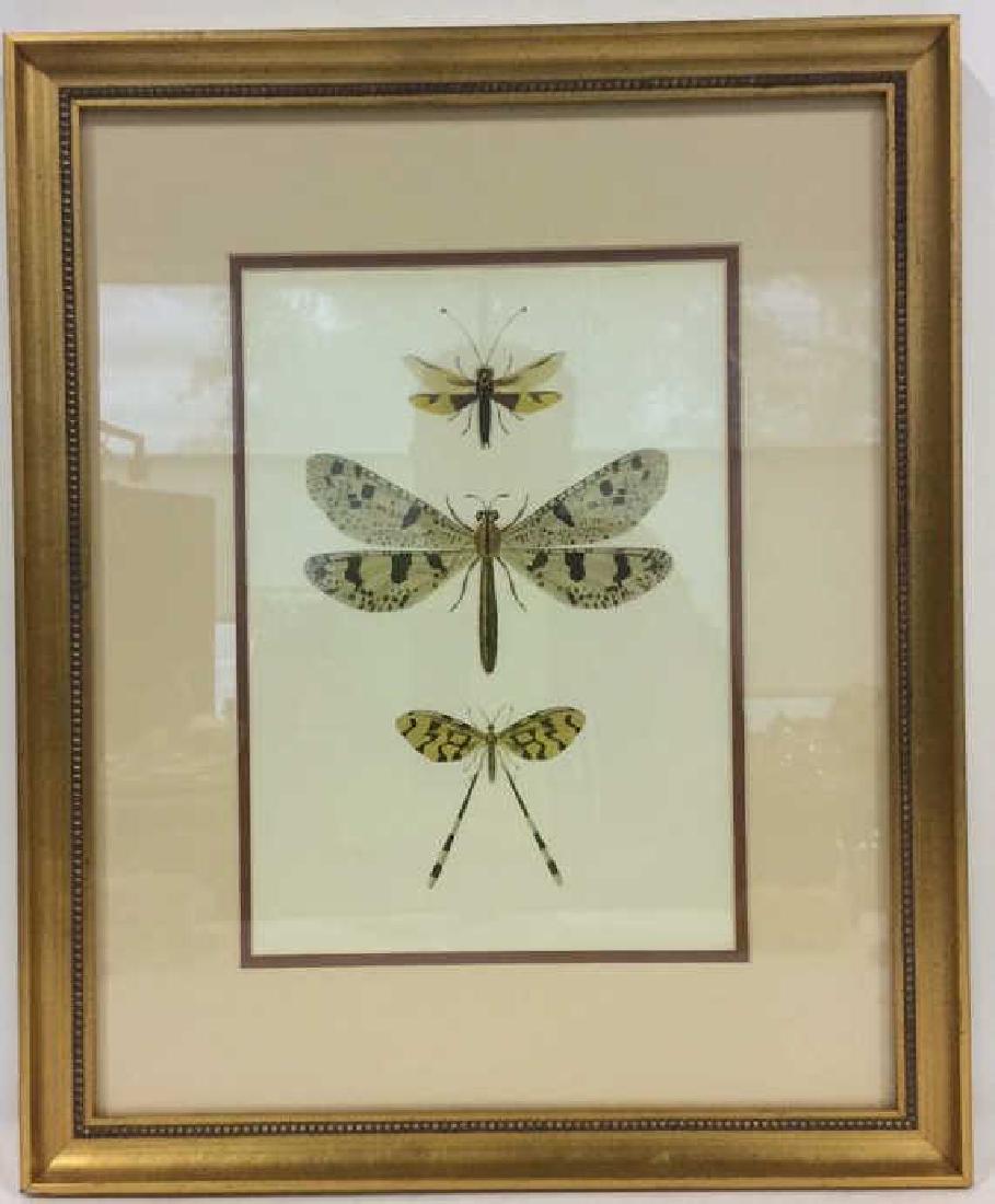 Framed & Matted Dragonfly Print (1 of 9)
