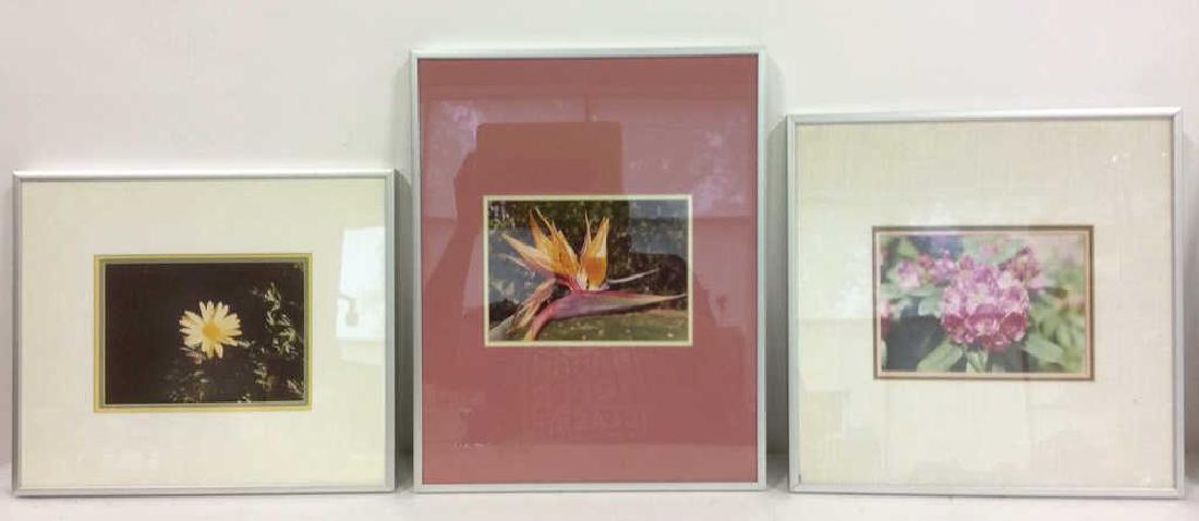 Lot 3 Framed Floral Photographic Prints (1 of 8)