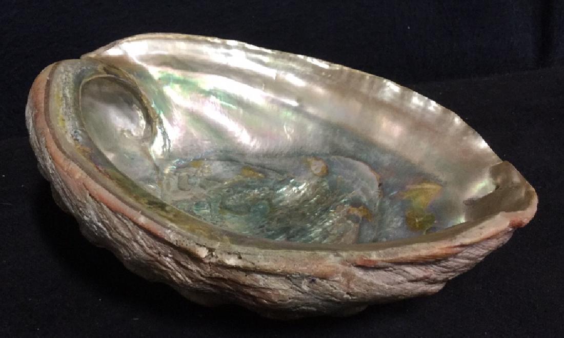 Large Seashell Table Decoration (1 of 8)