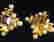 item-62577933=3