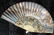 Antique Poss Louis XV Ladies Fan - 7