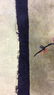 Antique Handmade Chinese Rug - 9