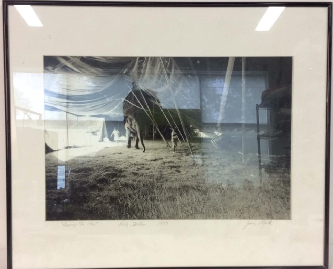 Kelly Miller 1999 Photographic Print: RAISING THE TENT - Kelly Miller 1999 is a black and white photographic print which depicts two males in a grass area with an elephant underneath a circus tent. Contains a black frame. Measures approx 