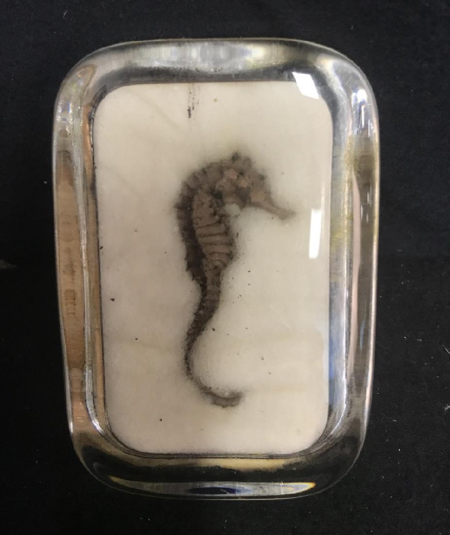 NY Aquarium Seahorse Paperweight (1 of 5)