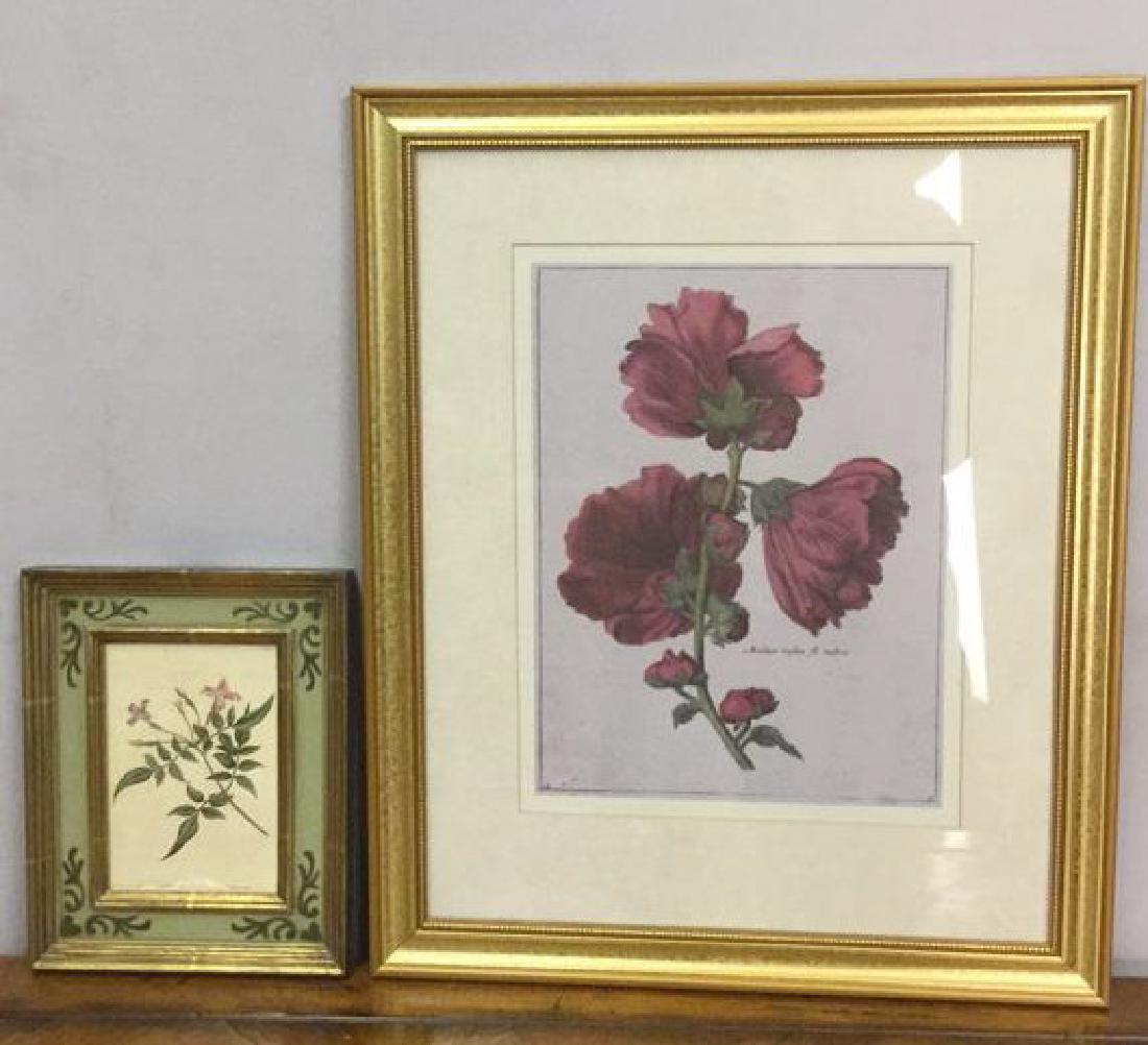 Lot 2 Framed Botanical Prints (1 of 7)