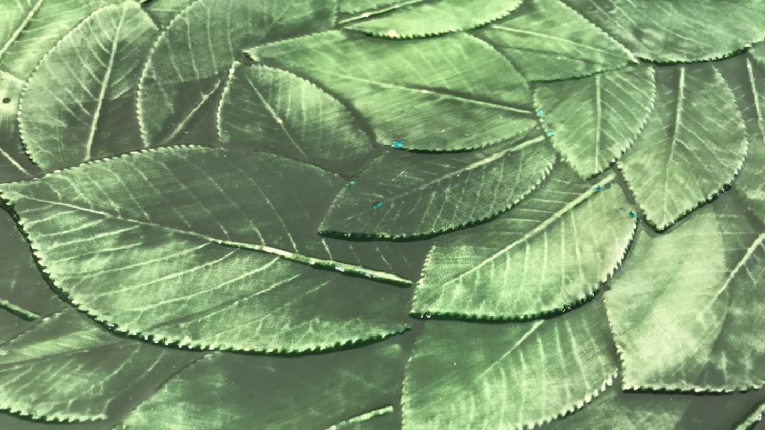 Ceramic Leaf Serving Plate Made in Italy (1 of 8)