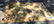 Chinese Art Deco Wool Rug Carpet - 3