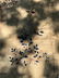 Chinese Art Deco Wool Rug Carpet - 6