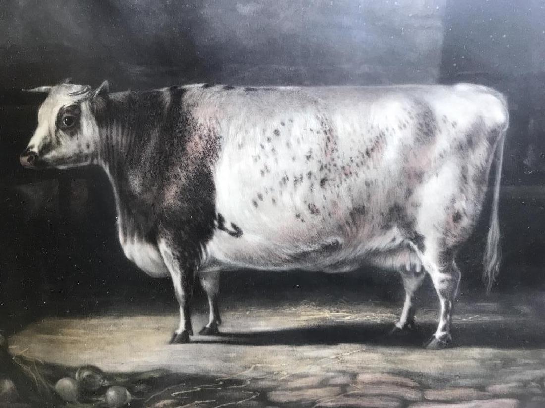 THOMAS LANDSEER Print Depicting Cow (1 of 6)