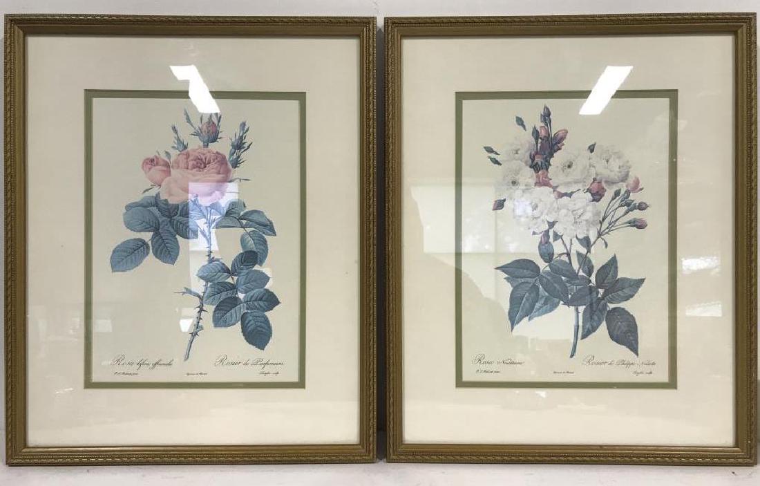 Lot 2 Framed Floral Prints
