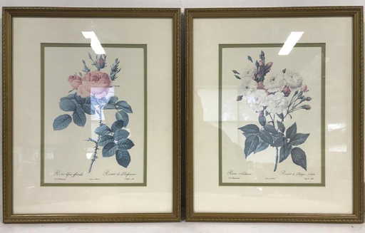 Lot 2 Framed Floral Prints