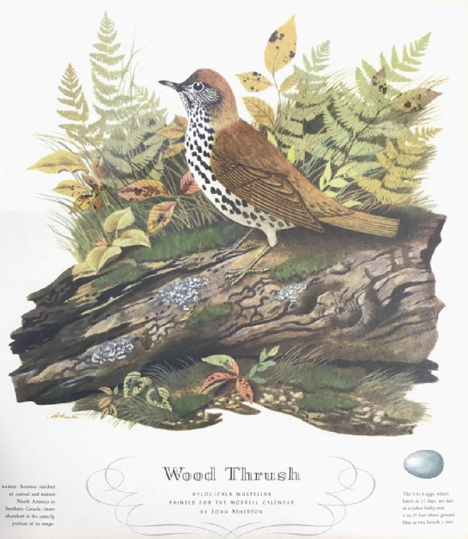 Lot 3 John Atherton Bird Prints (1 of 9)