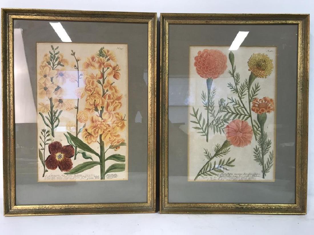 Lot 2 Framed Floral Botanical Prints (1 of 6)