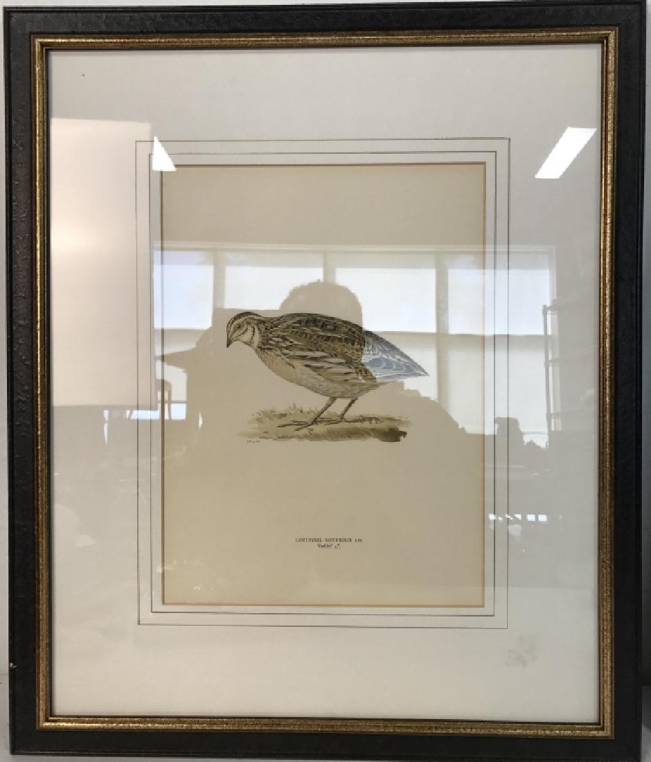 ARTE E CORNICI Lot 2 Framed Bird Prints (1 of 6)