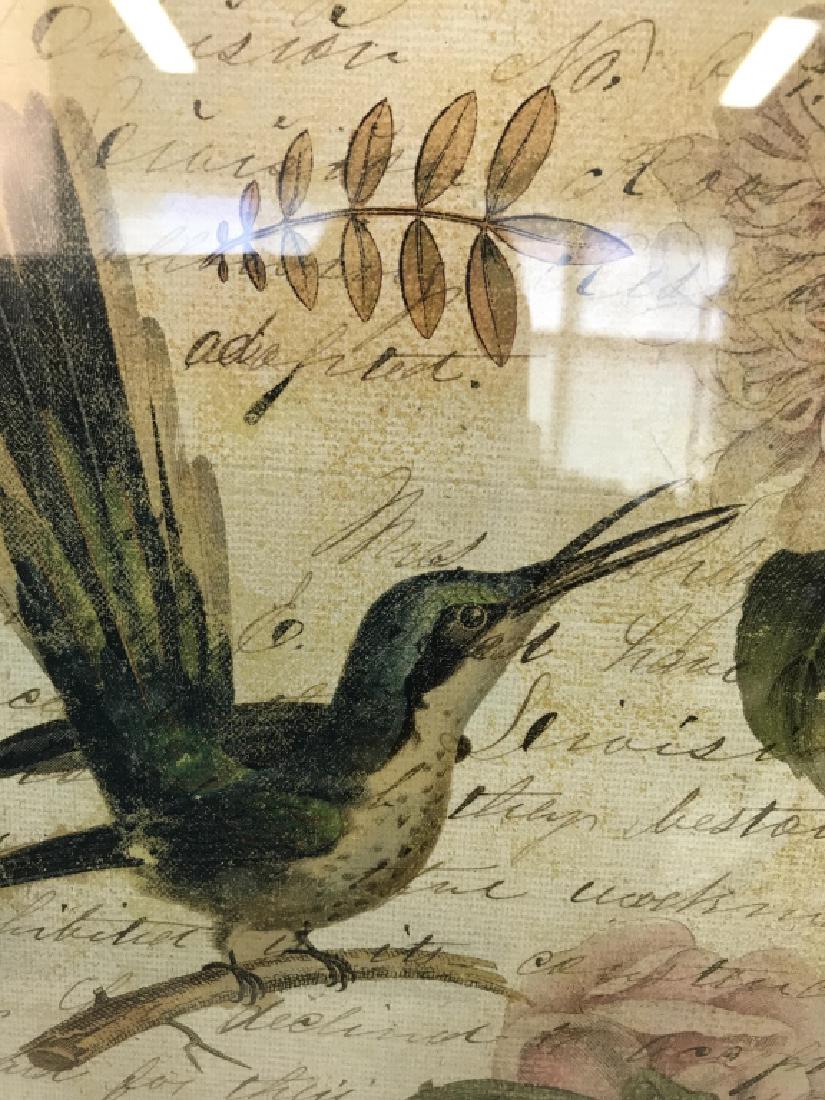 Framed Hummingbird Print (1 of 5)