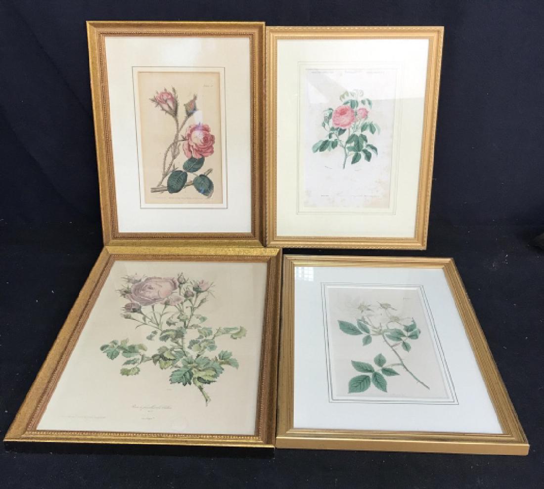 Set 4 Framed Antique Botanical Prints (1 of 9)