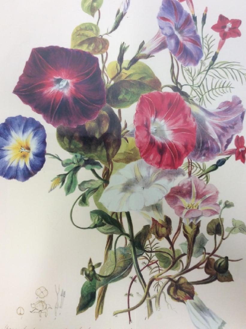 Lot 3 Framed Floral Prints (1 of 8)