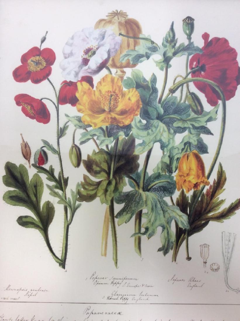 Lot 2 Framed Floral Prints (1 of 6)