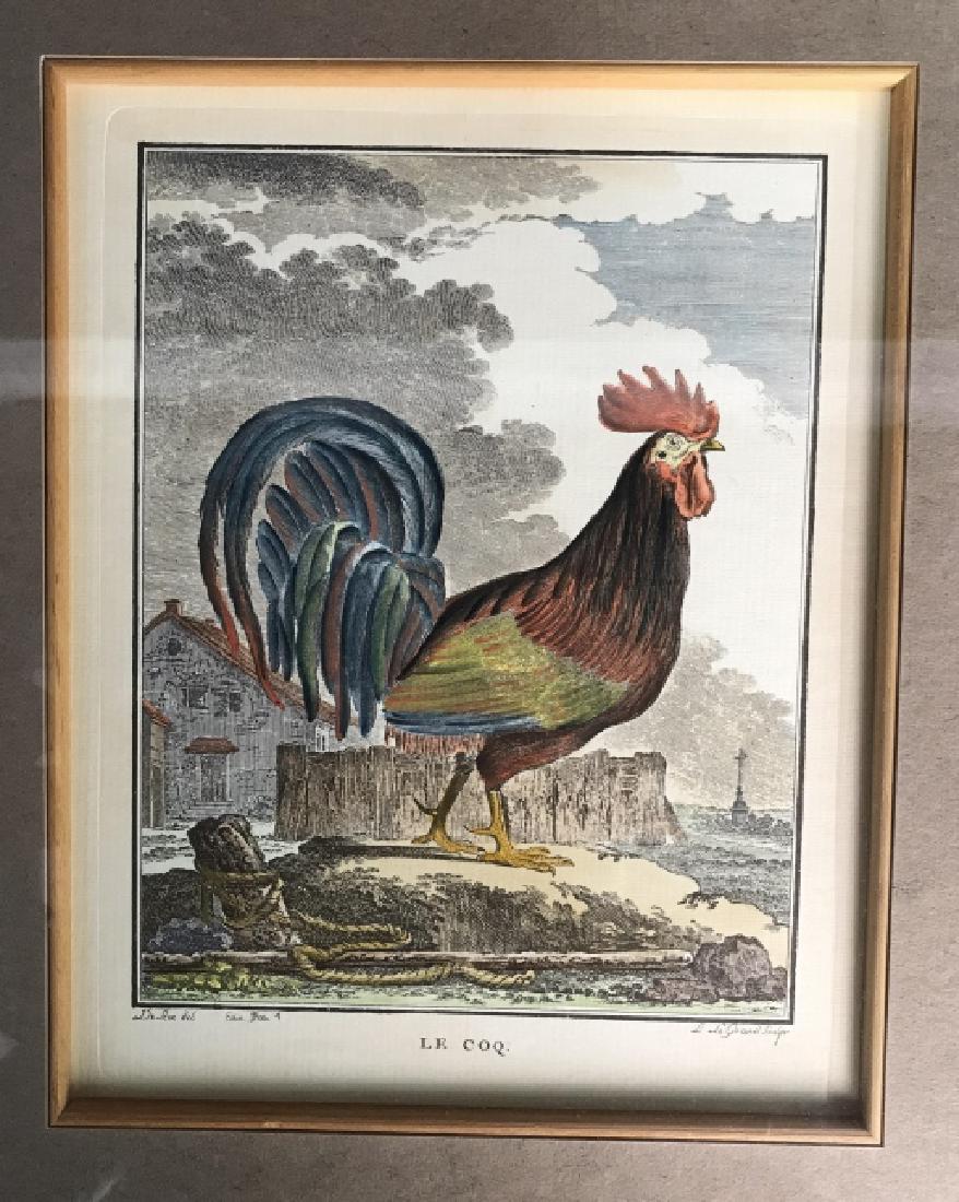 Vintage Hand Colored Etching Le Coq (1 of 9)