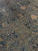 AMRITSAR Handmade Oriental Wool Carpet - 11