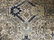 FARAHAN Room Size Hand Made Oriental Carpet - 10