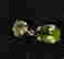 item-67001309=3