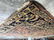 Handmade Antique Persian Wool Rug - 9