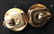 Group Lot 7 pairs Costume Earclips - 12