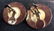 Group Lot 7 pairs Costume Earclips - 15