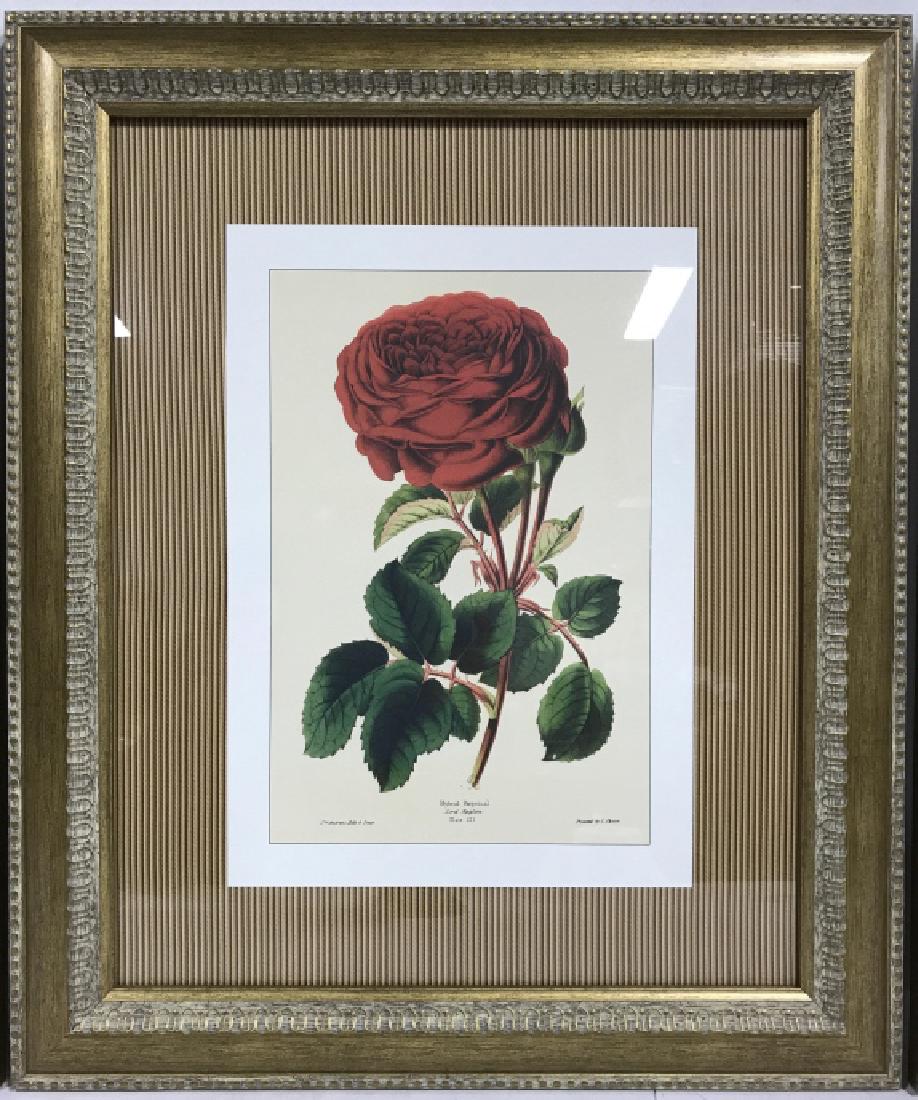 Lot 3 Framed Floral Prints (1 of 5)