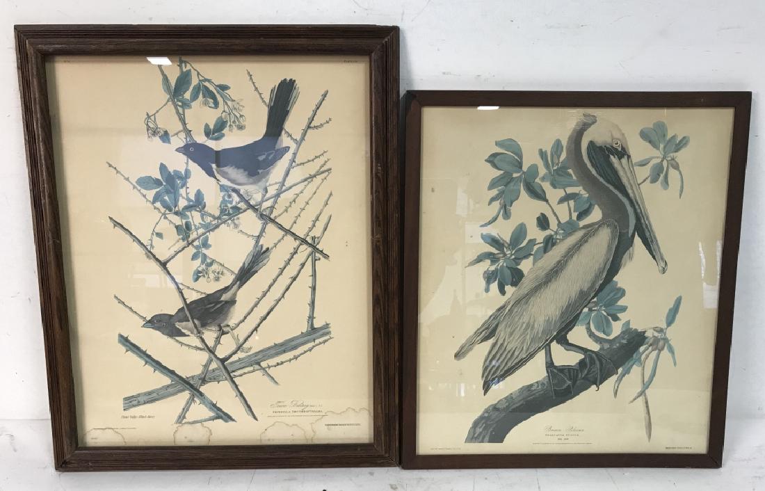 Group Lot of two Bird Prints (1 of 11)