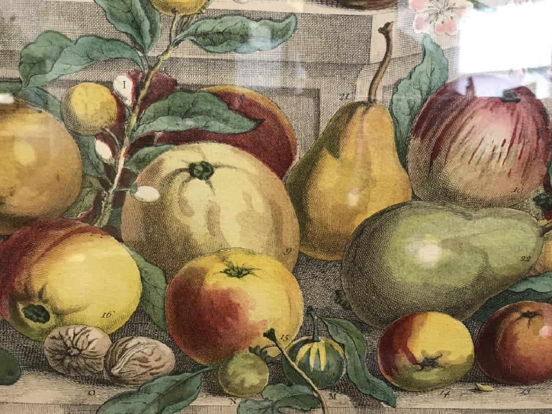 Lot 2 Gold Framed DecorativeFruit Prints (1 of 8)