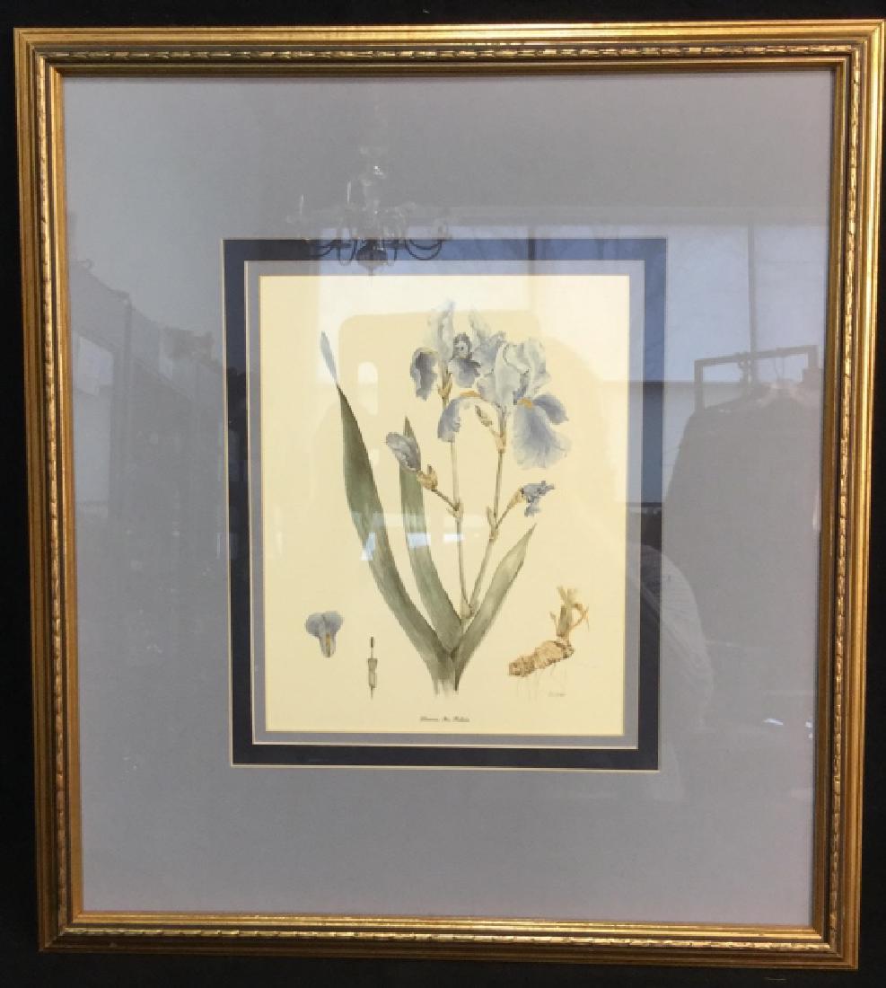GETHEN Framed Botanical Art Print (1 of 9)
