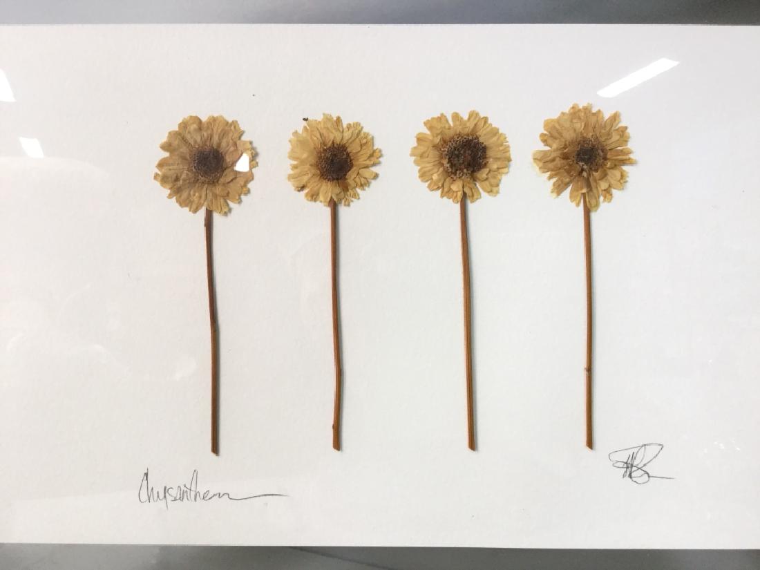 Framed Dried Flower Art (1 of 6)