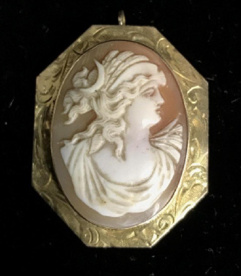 Vintage Cameo And 10k Gold Brooch (1 of 9)