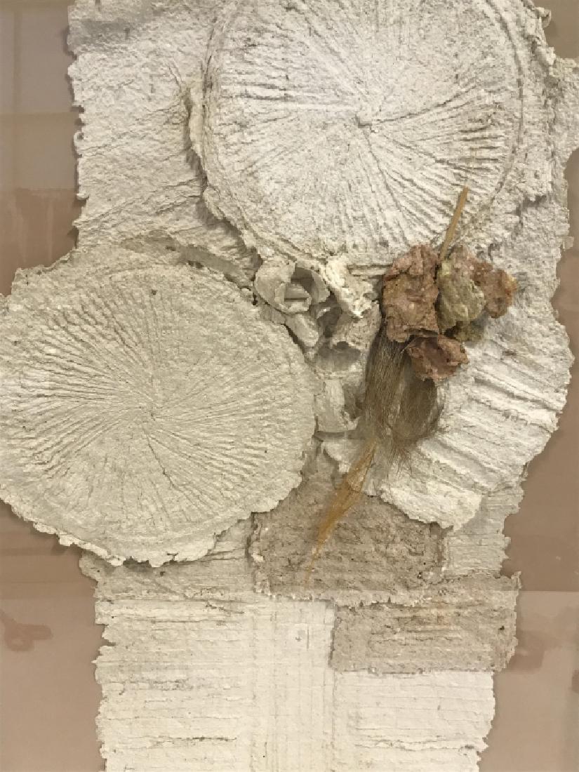 Signed Dianne Marxe Boxed Textile Sculptural Art: Boxed Art Installation signed by Dianne Marxe. Handmade Paper, 1/1, in lucite box. Handmade paper is layered with organic materials like bush stalks. Artwork is multicolored with taupe / beige / cream