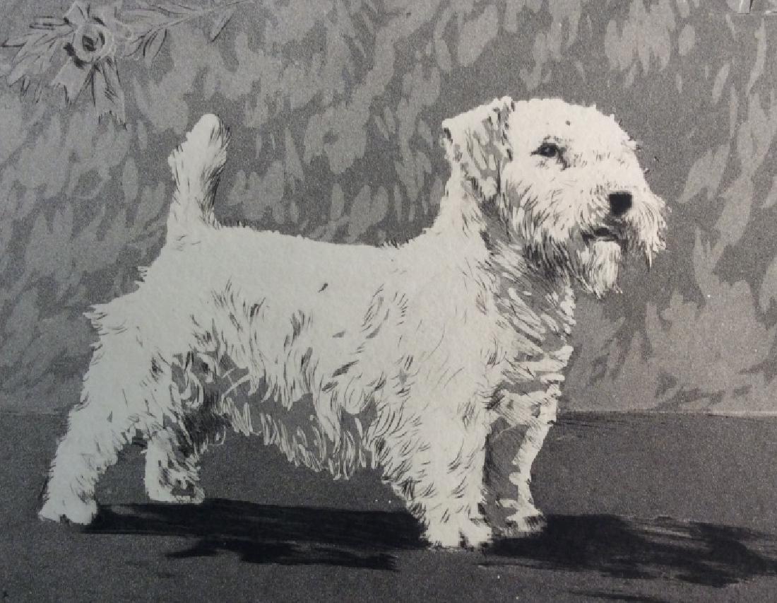 Etching Print by Diana Thorne Miss America (1 of 8)