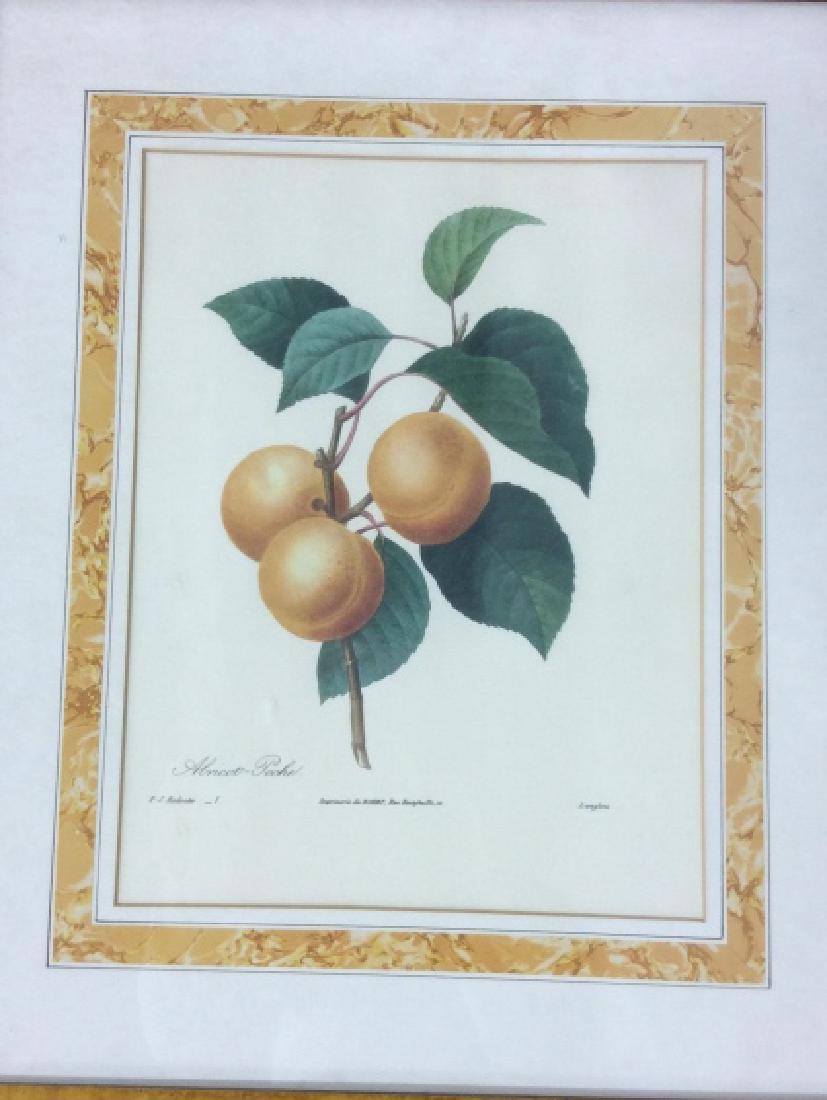 Set of 3 Framed Art Prints Of Fruits (1 of 14)