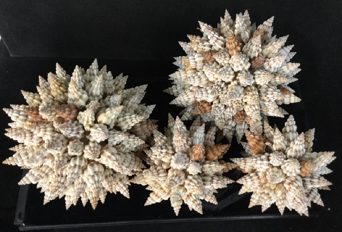 Group of Seashell Decorations (1 of 8)