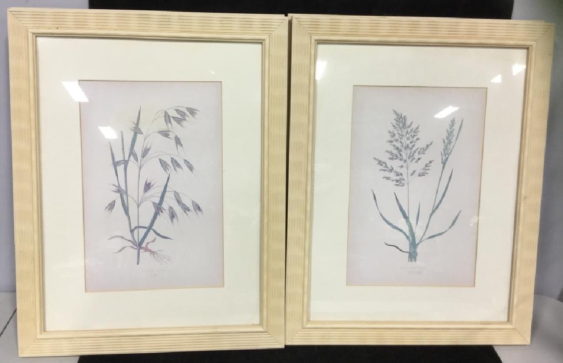 Set of Four Framed Floral Prints (1 of 8)