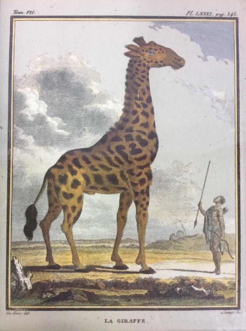 Pair Framed Animal Print Artwork (1 of 9)