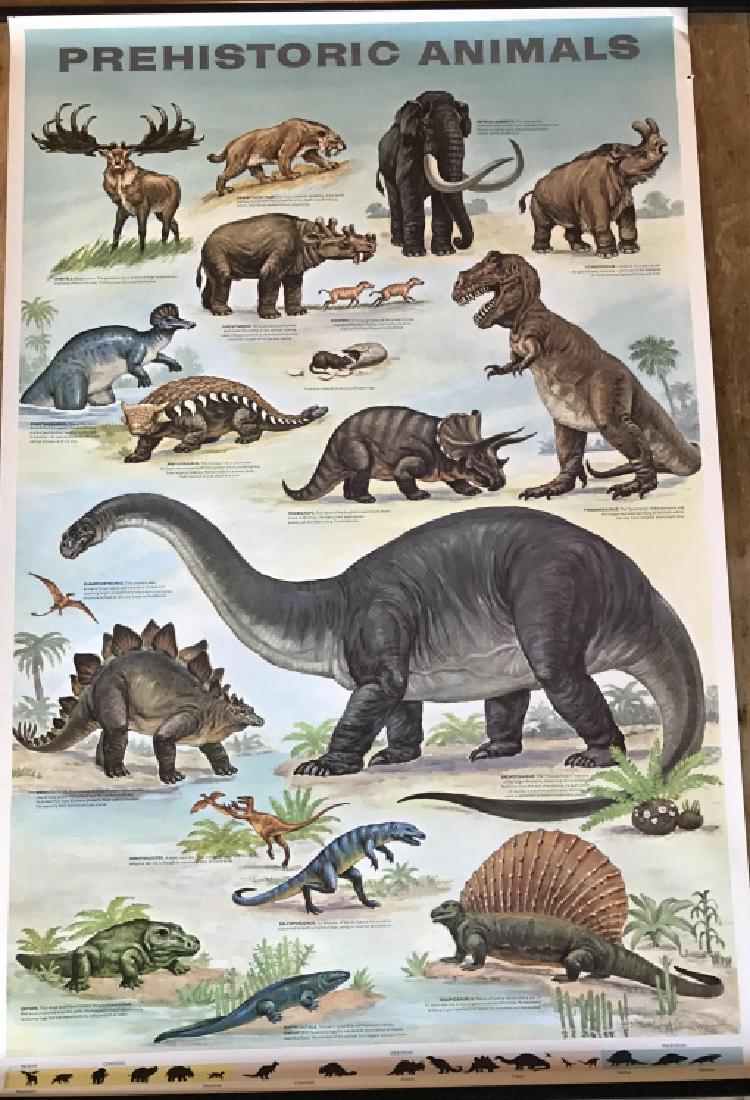 1964 Prehistoric Animal Poster Education Poster (1 of 10)