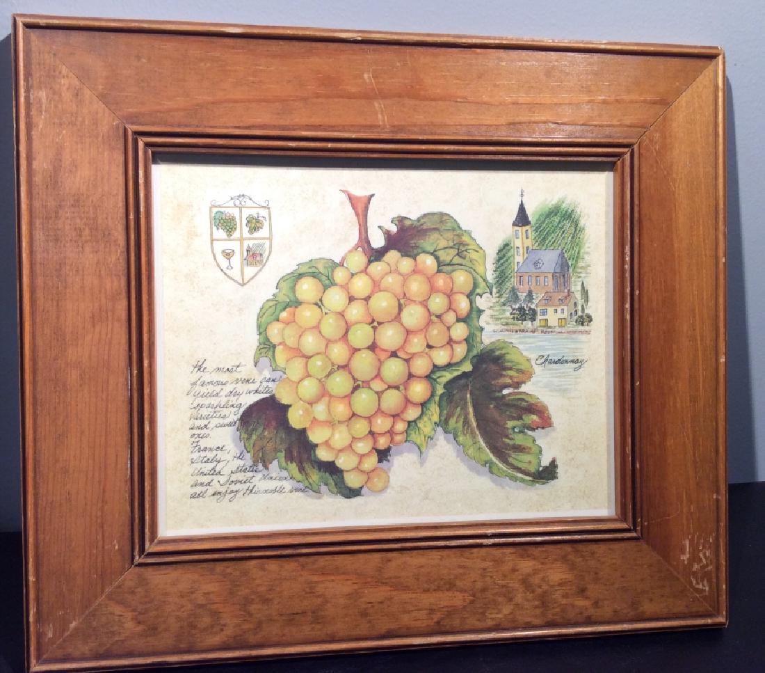 Framed Print Of Lorraine Rossi’s Chardonnay Grape: Framed print of Lorraine Rossi’s illustration of the Chardonnay grape titled ‘Wine Grapes Of the World’. Illustration depicts grapes and information on the grapes used for wine. Framed in wooden