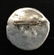 Signed Art Nouveau Silver Toned Brooch - 4